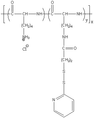 Poly(L-lysine hydrochloride) Graft Thiol (PLL HCL100-g-PDP10), MW 18,000