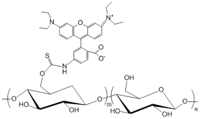 Dextran, Rhodamine B Labeled, MW 2,000k