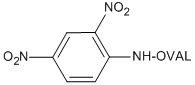 DNP-OVAL (Ovalbumin)