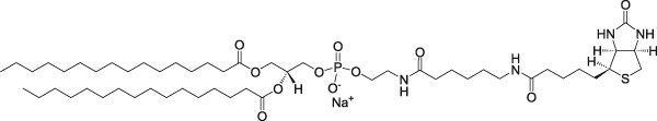 16:0 Biotinyl Cap PE (DPPE-cap-Biotin)