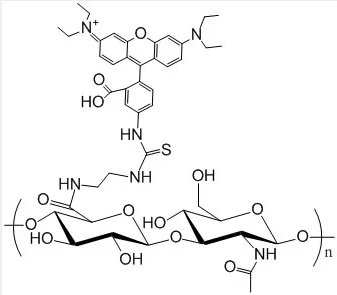 Hylauronic Acid, Rhodamine Labeled, MW 10,000