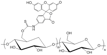 Dextran, Fluorescein Labeled, MW 10,000