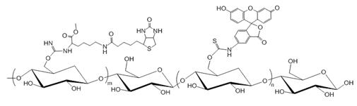 Dextran, FITC and Biotin Labeled, MW 550k
