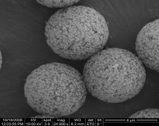 Porous Polystyrene-Divinylbenzene Microspheres, APS 4um