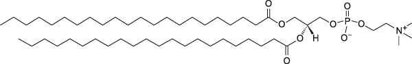 22:0 PC (DDocPC)