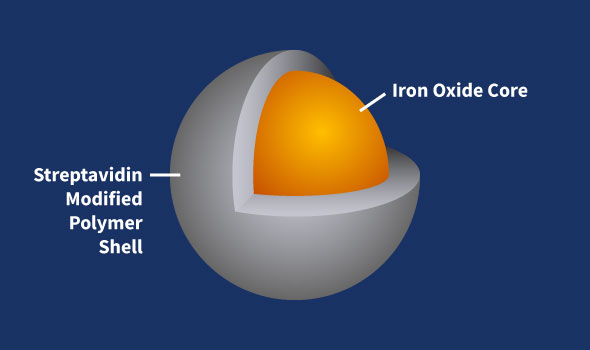 Streptavidin Iron Oxide Nanoparticles, 5nm