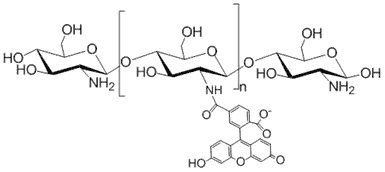 Chitosan, Fluorescein Labeled, 50-200 cP, 85% DDA
