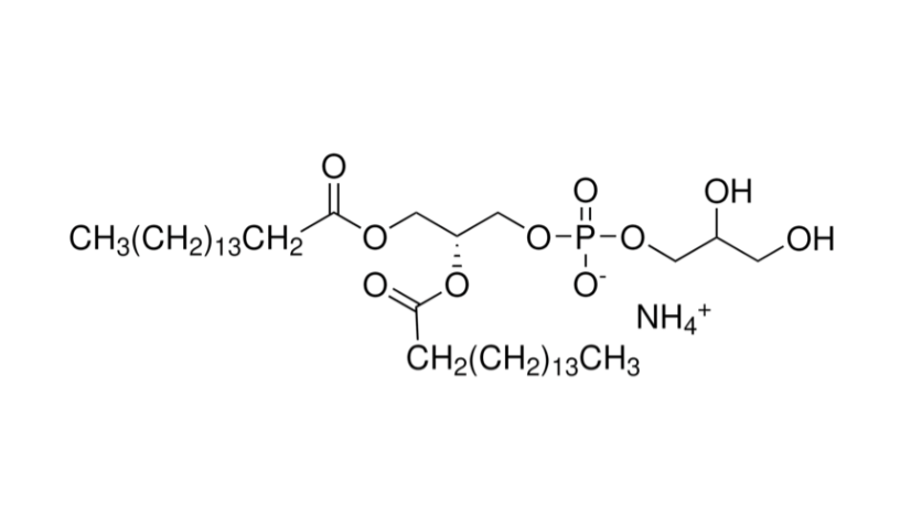DPPG-NH4 (1,2-Dipalmitoyl-sn-glycero-3-phospho-rac-(1-glycerol) ammonium salt)