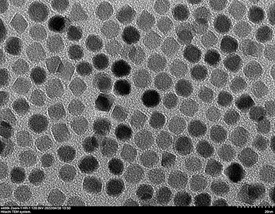 Oleic Acid-Coated Fe3O4 Nanoparticles in Chloroform, 5nm