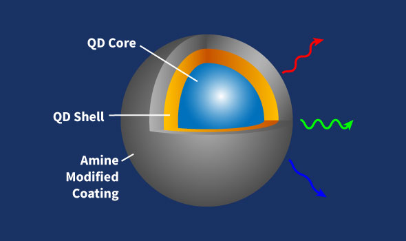 Amine Quantum Dots, Emission Wavelength 645nm