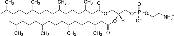 4ME 16:0 PE (DPhPE)