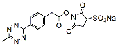 Methyltetrazine-Sulfo-NHS ester | CAS 1821017-46-2