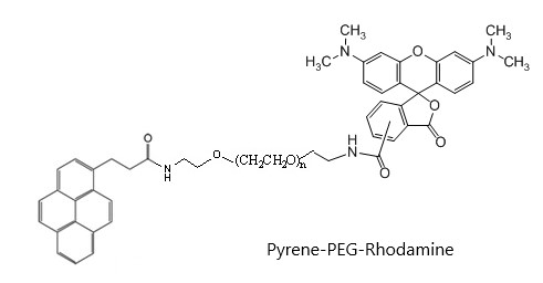 Pyrene-PEG-Rhodamine, MW 10,000
