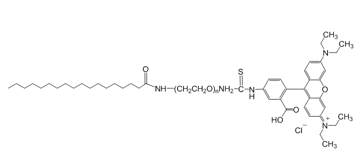 Stearic acid-PEG-Rhodamine B, MW 3,400