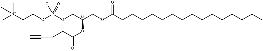 1-Palmitoyl-2-propargylacetyl-sn-glycero-3-phosphocholine | CAS 1353897-91-2
