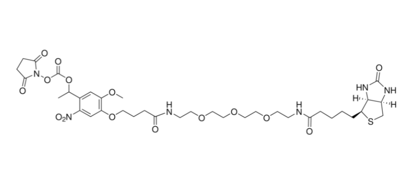 PC Biotin-PEG3-NHS Ester | CAS 2353409-93-3