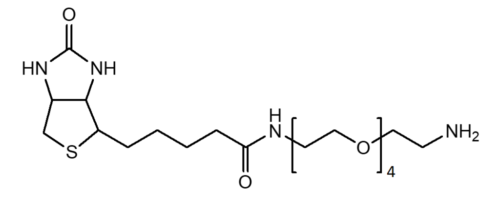 (+)-Biotin-PEG4-CH2CH2NH2 | CAS 663171-32-2