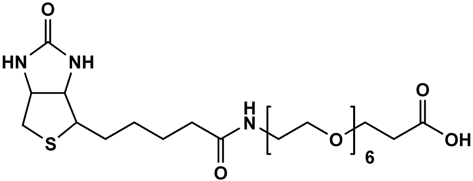 (+)-Biotin-PEG6-CH2CH2COOH | CAS 1352814-10-8