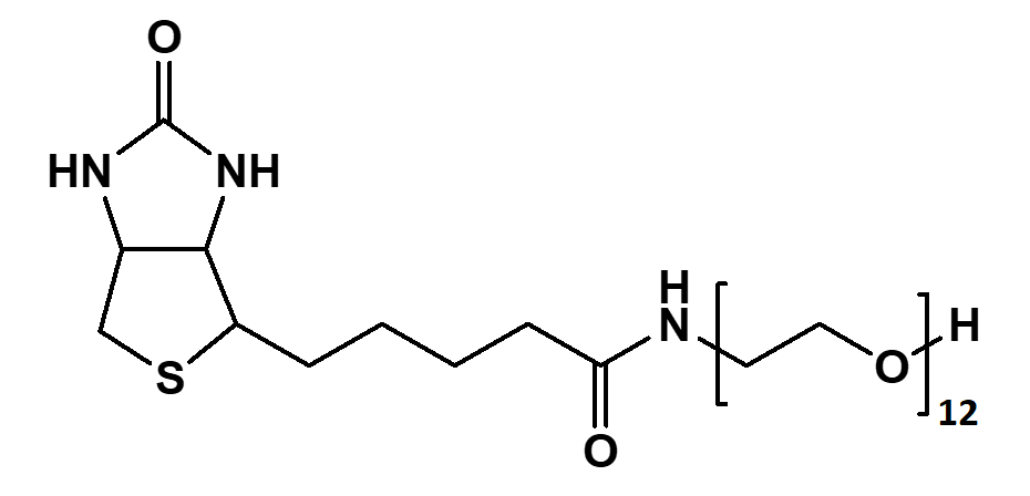 (+)-Biotin-PEG12-OH