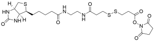 Biotin-bisamido-SS-NHS | CAS 142439-92-7