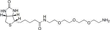 Biotin-PEO4-amine | CAS 359860-27-8