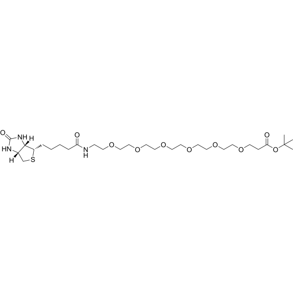 Biotin-PEG6-Boc | CAS 1352814-07-3