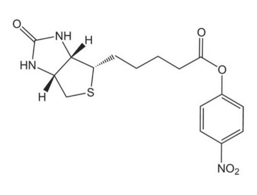 Biotin-ONp | CAS 33755-53-2
