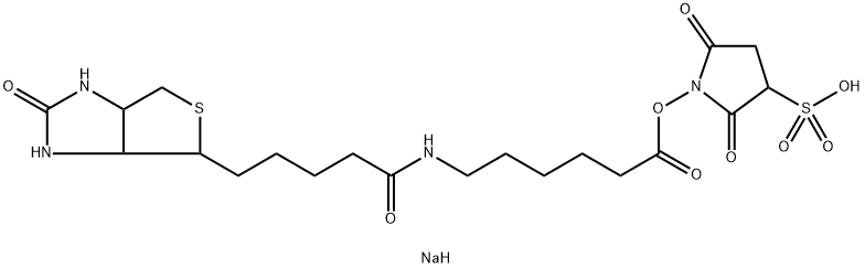 Biotin-LC-Sulfo-NHS | CAS 127062-22-0
