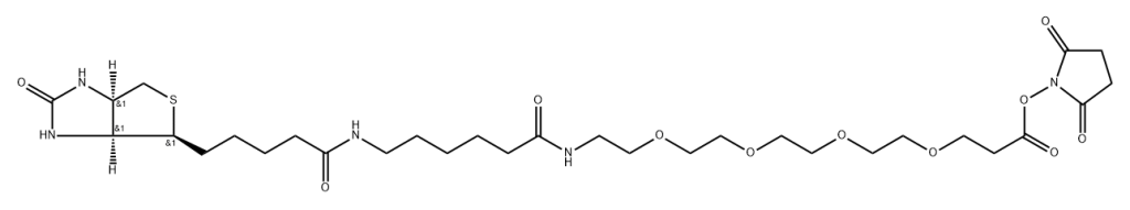 Biotin-LC-PEG4-NHS ester | CAS 2247545-20-4