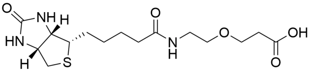 Biotin-PEG1-Acid | CAS 1260092-29-2