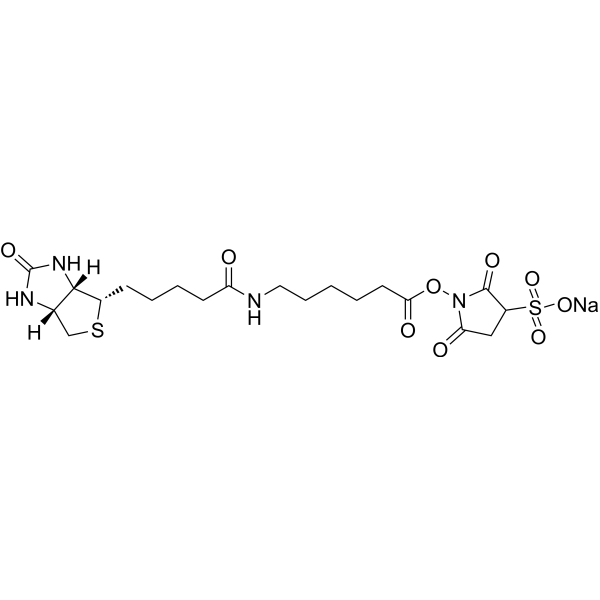 Sulfo-NHS-LC-Biotin sodium | CAS 191671-46-2