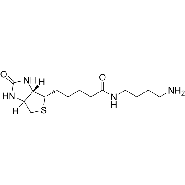 Biotin-C4-amide-C5-NH2 | CAS 151294-96-1