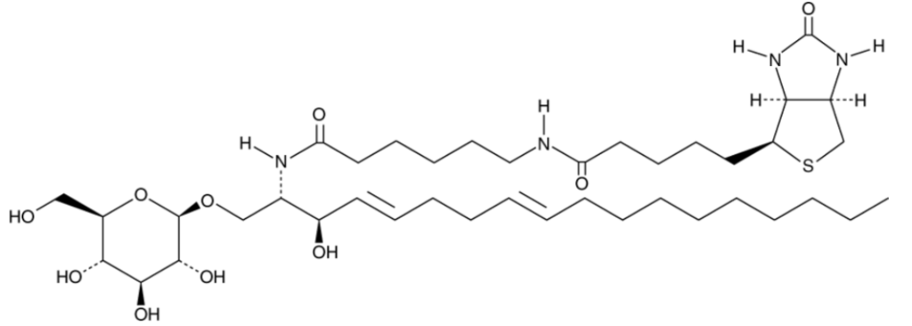 C6 Biotin Glucosylceramide (d18:1/6:0) | CAS 2692623-22-4