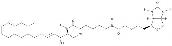 C6 Biotin Ceramide (d18:1/6:0) | CAS 192070-02-3