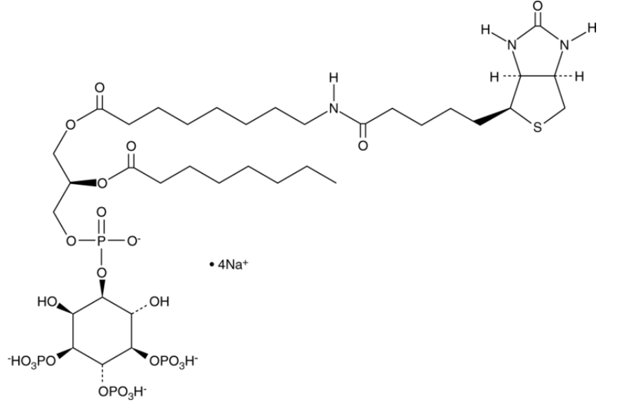 PtdIns-(3,4,5)-P3-biotin (sodium salt) | CAS 1415684-80-8