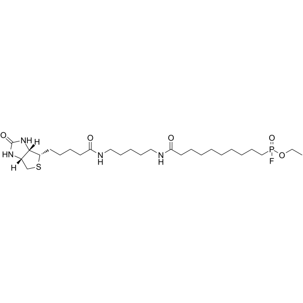 FP-Biotin | CAS 259270-28-5