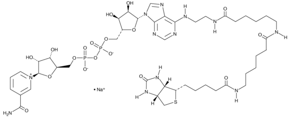 6-Biotin-17-NAD+ (sodium salt)