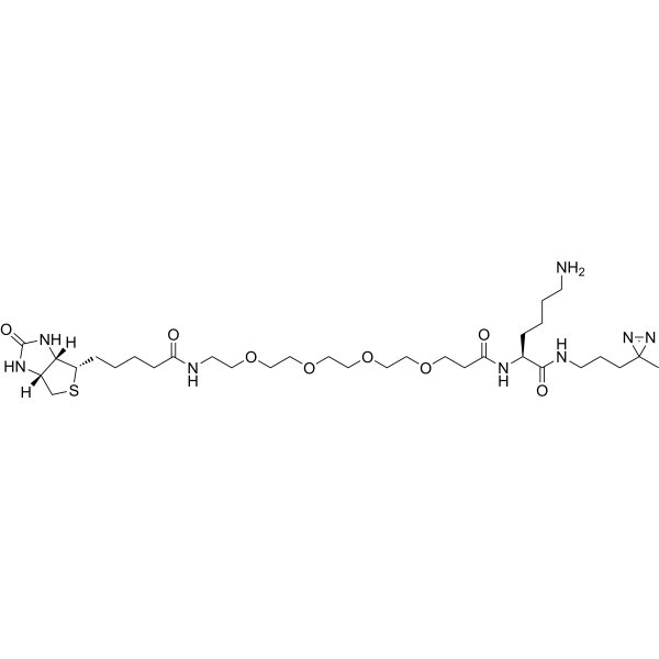 Biotin-probe 1