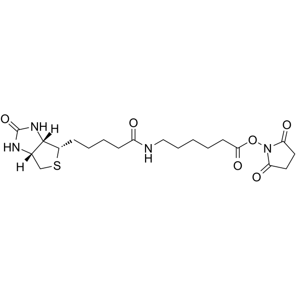 Biotin-C5-NHS Ester | CAS 72040-63-2