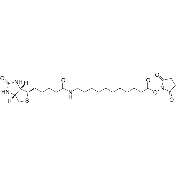 Biotin-C10-NHS Ester | CAS 887628-40-2