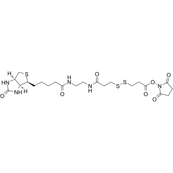 Biotin-bis-amido-SS-NHS | CAS 142439-92-7