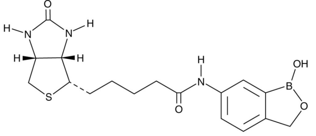 Bio-Ben (Biotin-Benzoboroxole)