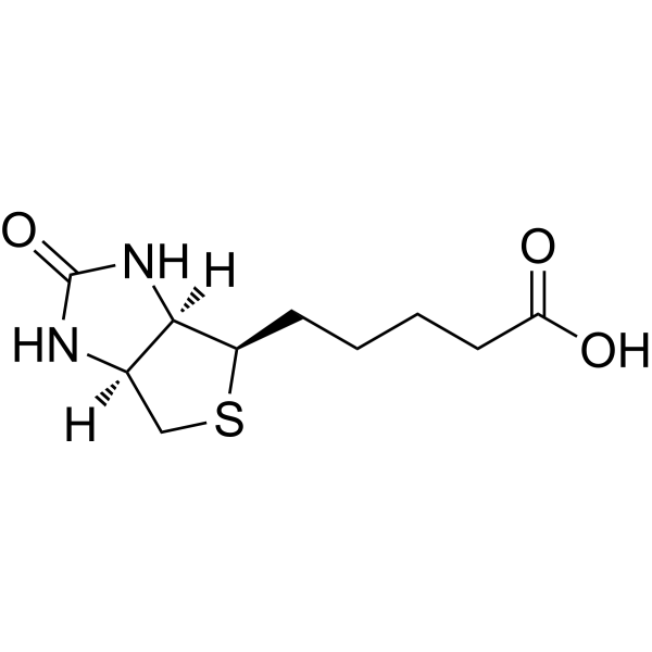 L-Biotin | CAS 21788-37-4