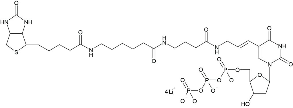 Biotin-16-Aminoallyl-2′-dUTP | CAS 201682-75-9