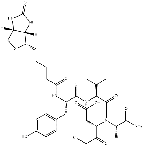 Biotinyl-Tyr-Val-Ala-Asp-chloromethylketone | CAS 402474-75-3
