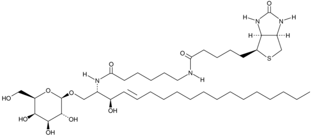 C6 Biotin Galactosylceramide (d18:1/6:0)