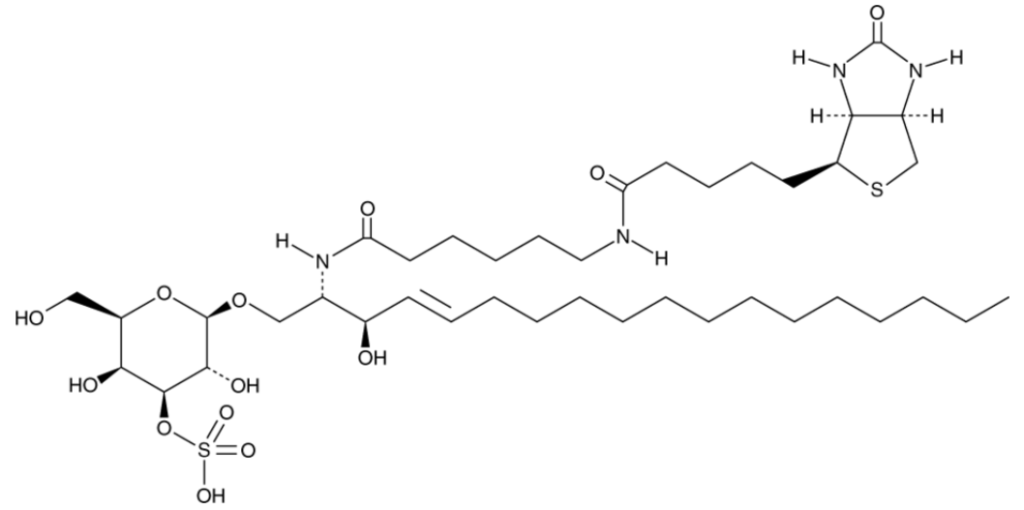 C6 Biotin 3′-sulfo Galactosylceramide (d18:1/6:0)