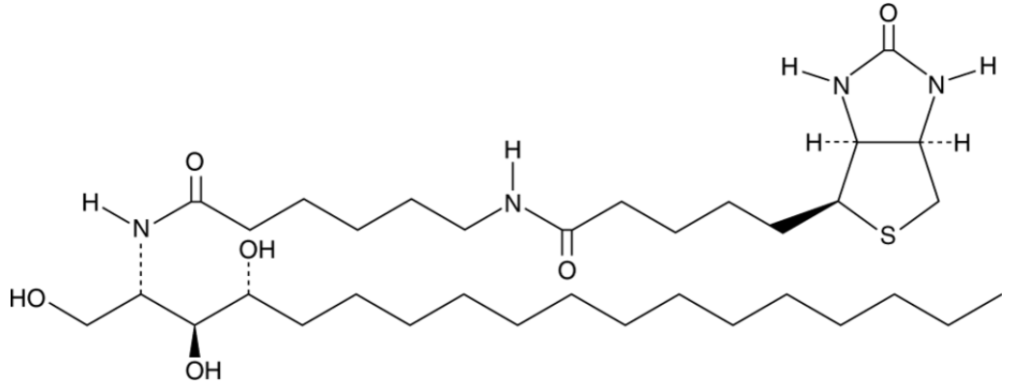 C6 Biotin Phytoceramide (t18:0/6:0)
