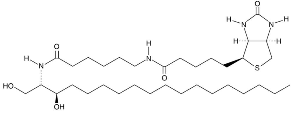 C6 Biotin dihydro Ceramide (d18:0/6:0)