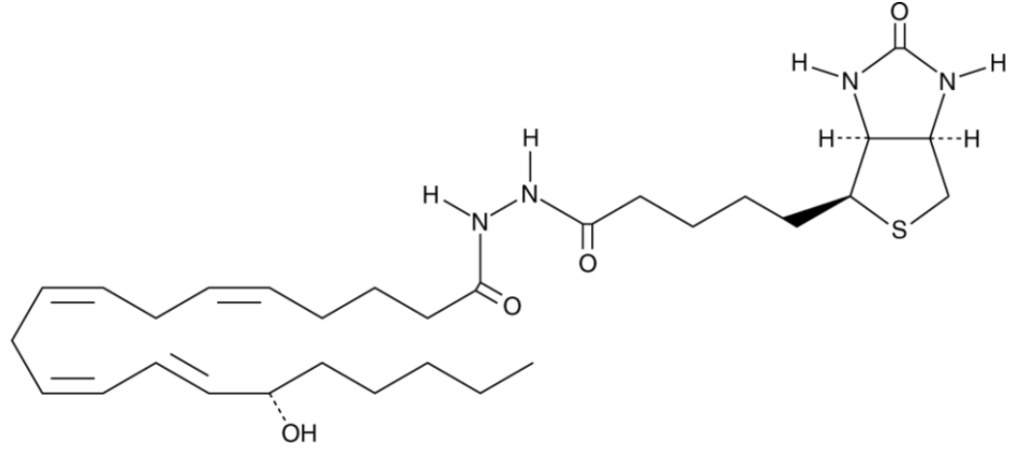 15(S)-HETE-biotin | CAS 1217461-45-4
